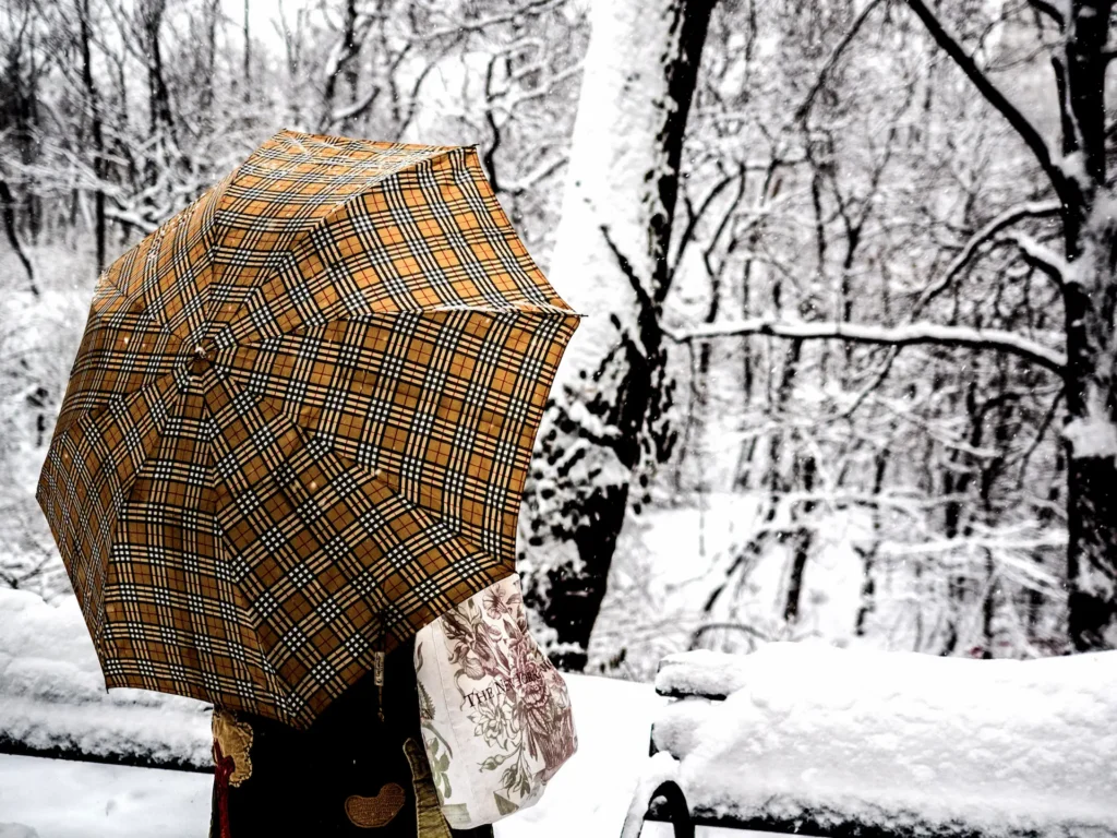 Person holding a yellow plaid umbrella stands in a snowy park, surrounded by leafless trees covered in snow. The scene looks calm and wintry, with snow blanketing the ground and benches.